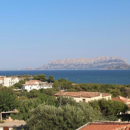 La Conchiglia Villa Olbia Exterior photo